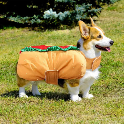 deguisement chien halloween hotdog party estival