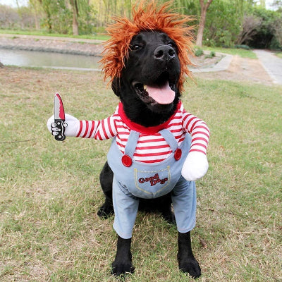 deguisement chien halloween labrador salopette couteau