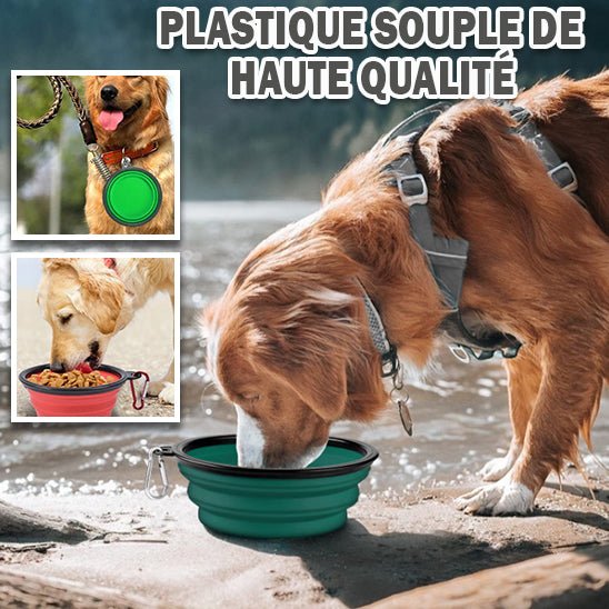 Gamelle pour chien - PetBowlProâą - PuppyDog Zone