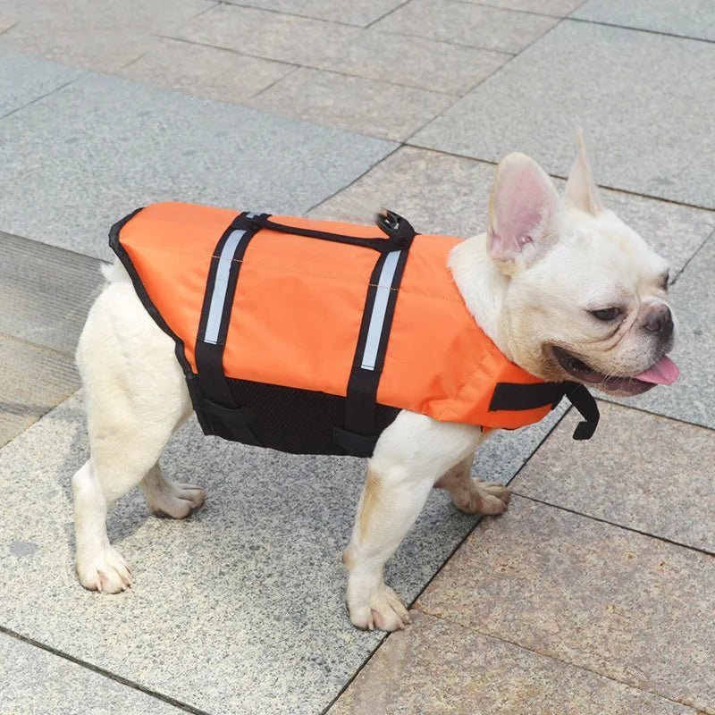 Gilet de Sauvetage pour Chien - DoggyAqua™ - PuppyDog Zone