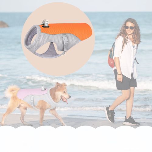 Gilet pour chien | Rafraichissant
