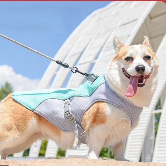 Gilet pour chien | Rafraichissant