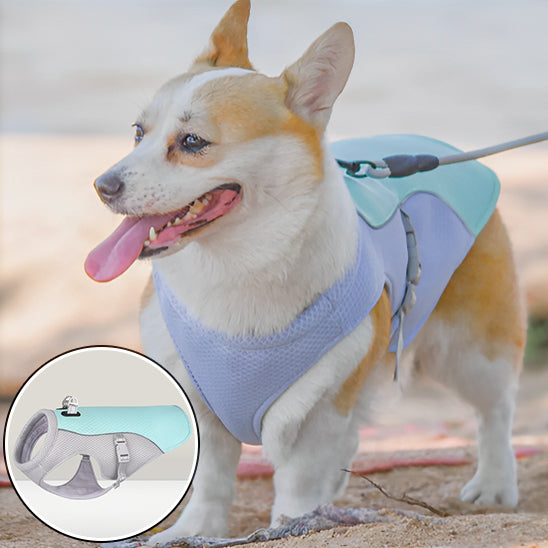 Gilet pour chien | Rafraichissant