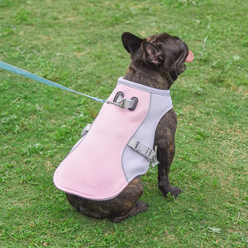 Gilet pour chien | Rafraichissant