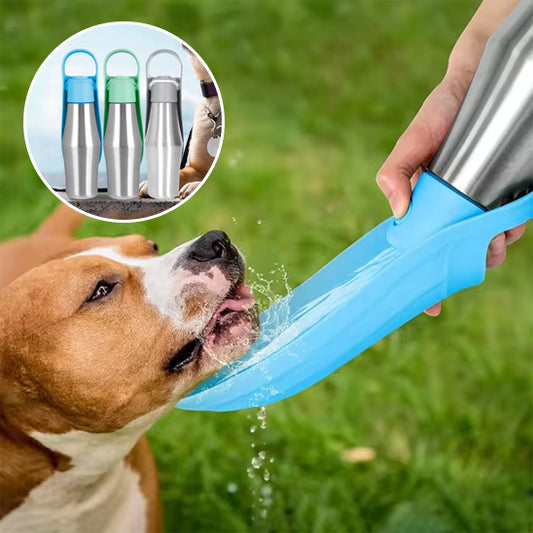 un-maitre-tend-a-son-chien-une-gourde-d'eau-pour-hydrater-son-chien-dans-un-parc
