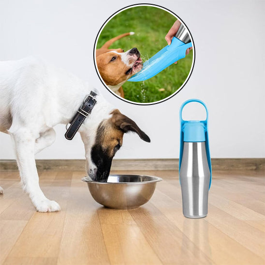 un-chien-qui-mange-dans-une-gamelle-et-prĂšs-de-lui-il-y-a-une-gourde-en-acier-inoxydable