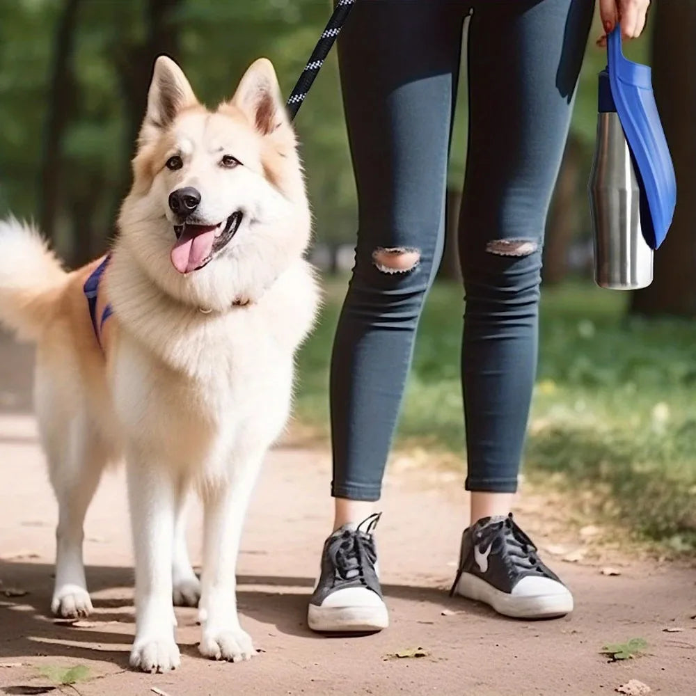 un-grand-chien-en-laisse-prend-une-marche-avec-sa-maitresse-elle-tiens-une-gourde-pour-chien
