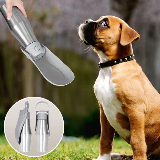 un-maitre-tend-Ă -un-chien-boxer-une-gourde-pour-chien-grise-en-acier-inoxydable-pour-hydrater-son-chien
