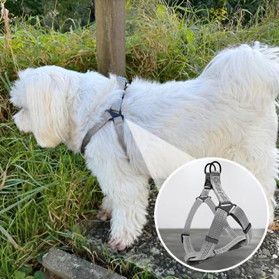 chien-bichon-maltais-dans-un-parc-portant-un-harnais-gris-et-photo-en-mortaise-montrant-un-harnais-en-détail