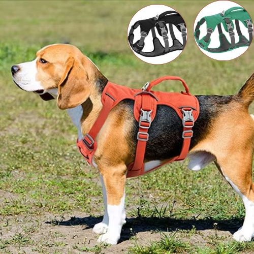 chien-porte-harnais-orange-en-mortaise-choix-couleurs