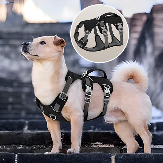 chien-moyen-porte-harnais-noir-avec-trois-sangles-ajustables