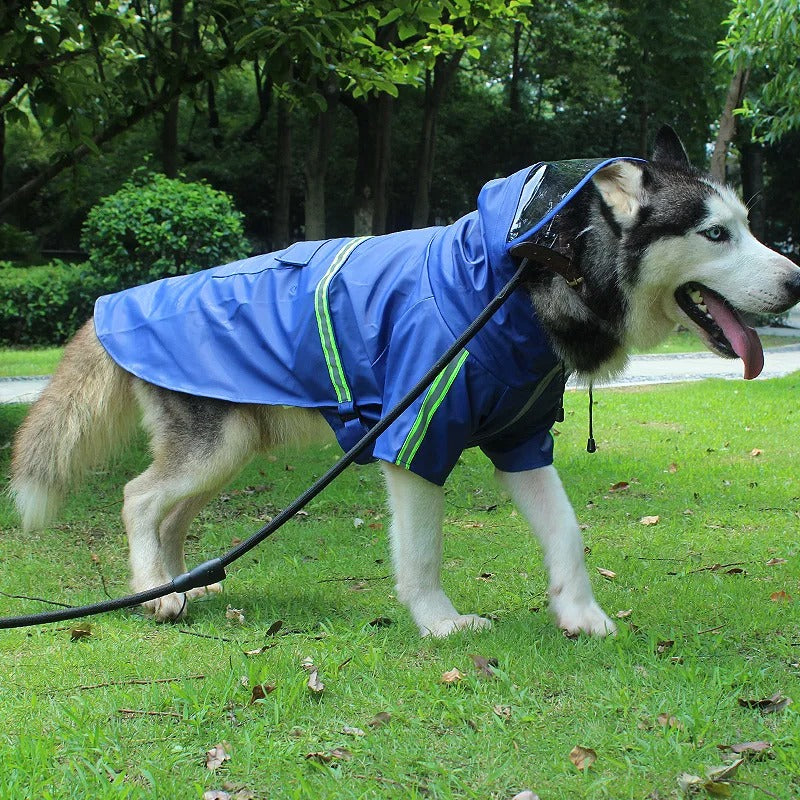 impermeable pour chien bleu coupe vent sur husky