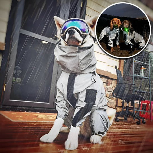 Imperméable pour chien | GlowDoggy⹠- PuppyDog Zone