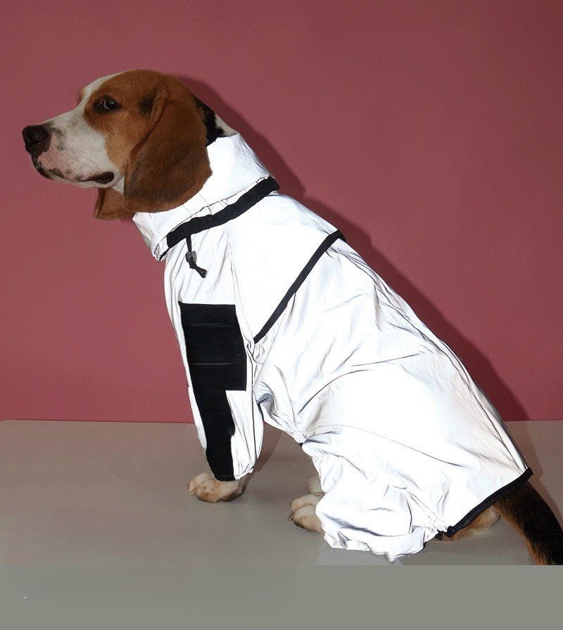 chien-moyenne-taille-avec-un-imperméable-réfléchissante-dans-la-noirceur