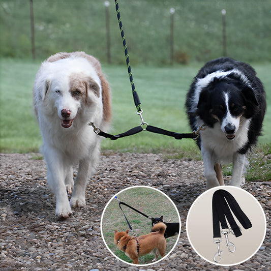 Laisse double pour chien | Coupleur de laisse