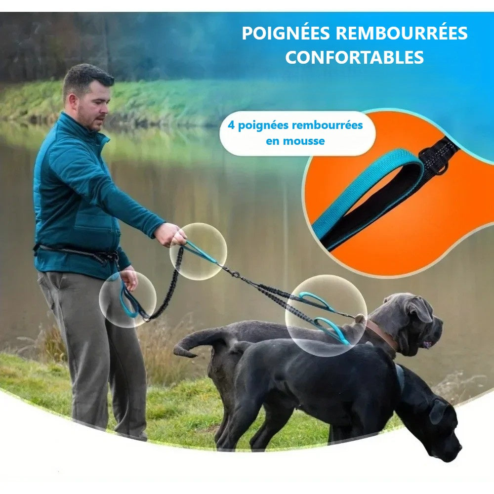 homme-avec-deux-chiens-cane-corso-en-laisse-double-bord-de-l'eau