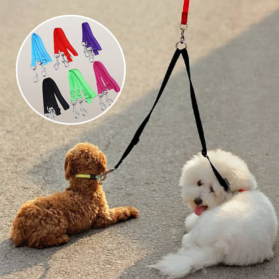 Laisse double pour chien | Coupleur de laisse