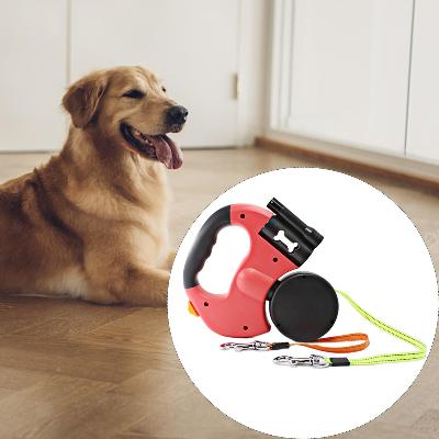 Laisse pour chien | 3 en 1 - PuppyDog Zone