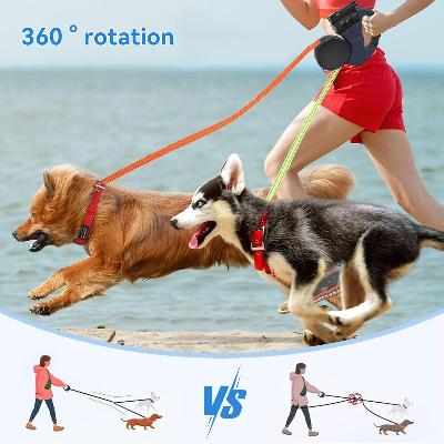 Laisse pour chien | 3 en 1 - PuppyDog Zone