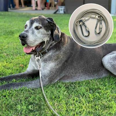 Laisse pour Chien | Corde en Acier Plastifiée - PuppyDog Zone