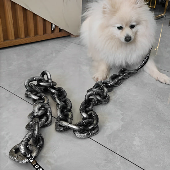 chien-moyenne-taille-attaché-a-une-laisse-en-chaine-a-grosse-maille