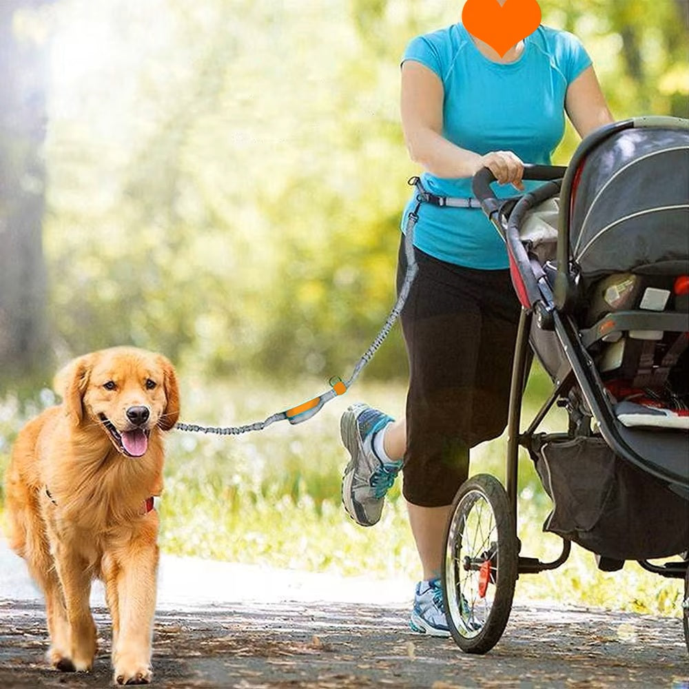 Laisse pour Chien | Mains Libres