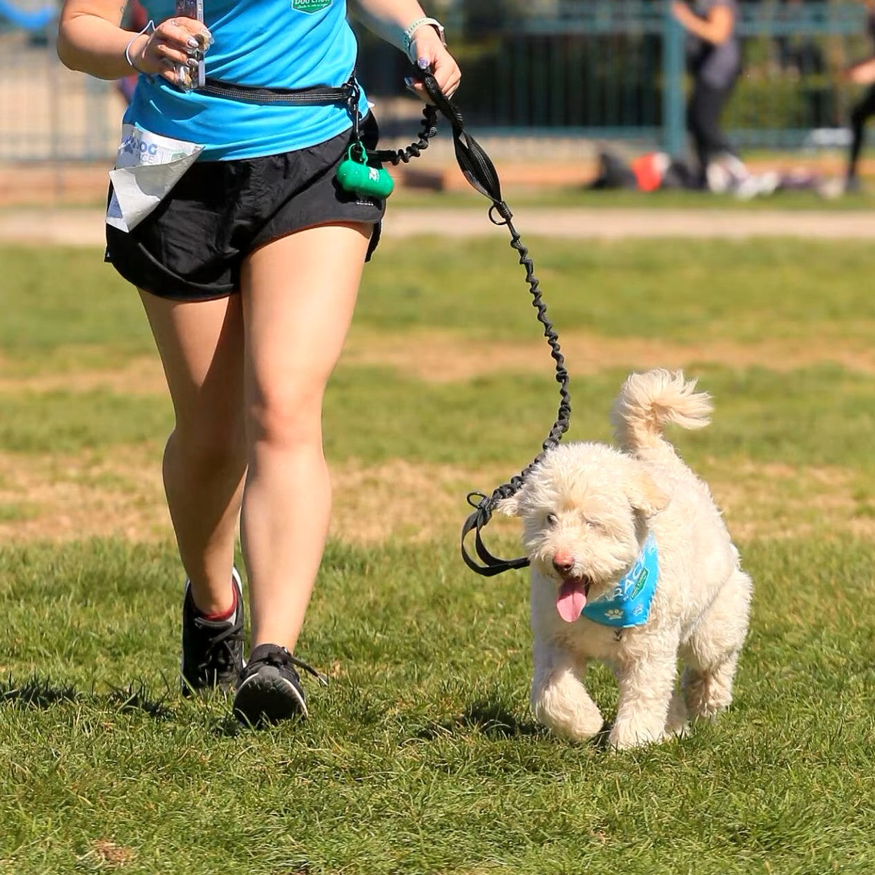 Laisse pour Chien | Mains Libres