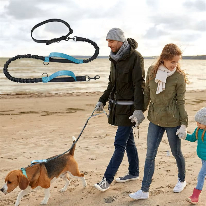 Laisse pour Chien | Mains Libres