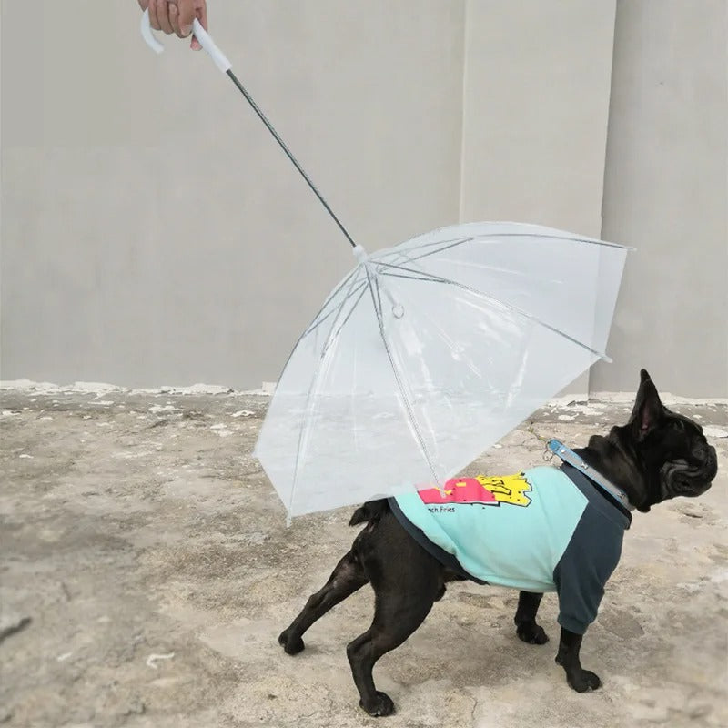 laisse pour chien parapluie abri de la pluie neige soleil