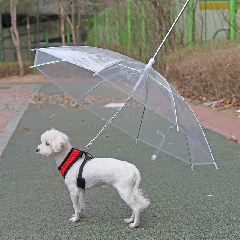 laisse pour chien parapluie attache au harnais ou collier