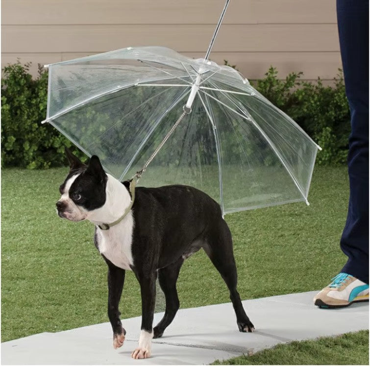laisse pour chien parapluie bulldog francais attache sous laisse parapluie