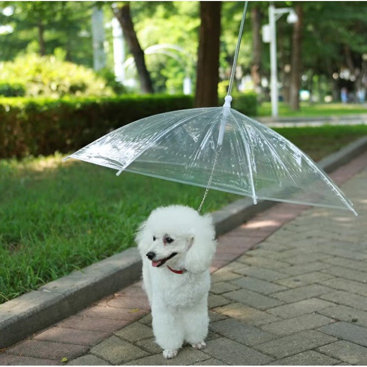 Laisse pour chien | Parapluie