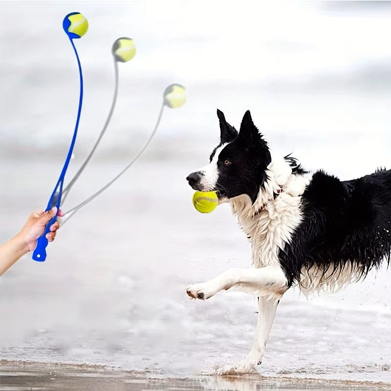 lanceur de balle pour chien balle salle mains propres