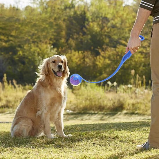 lanceur de balle pour chien couleur bleu avec balle