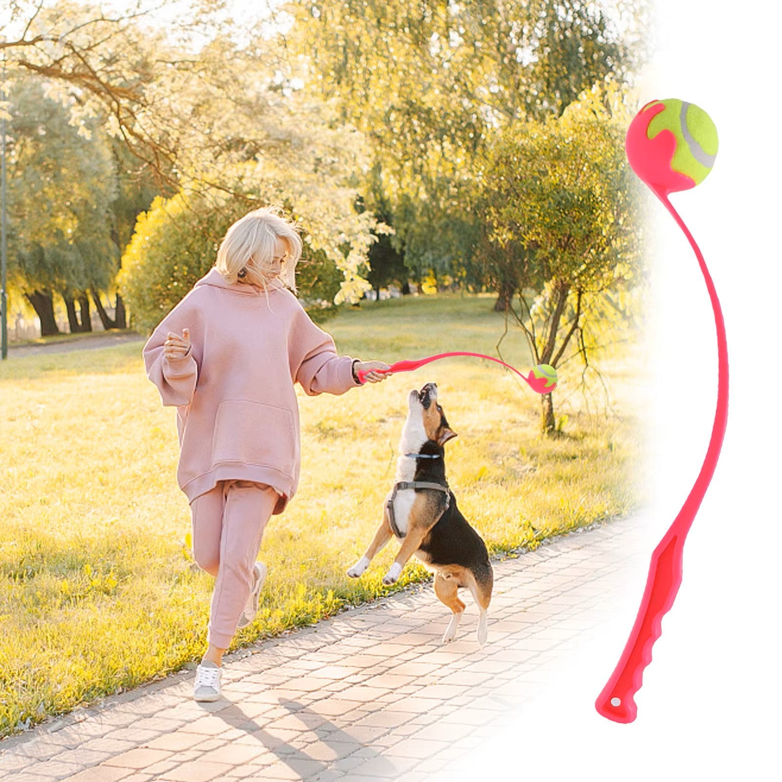 lanceur de balle pour chien maitre actif chien heureux