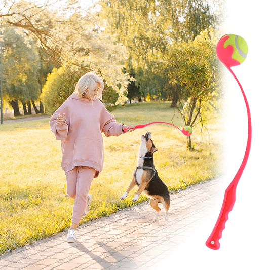 lanceur de balle pour chien maitre actif chien heureux