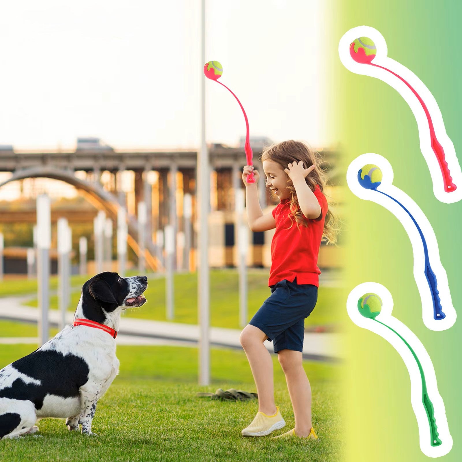 lanceur de balle pour chien trois couleurs disponible