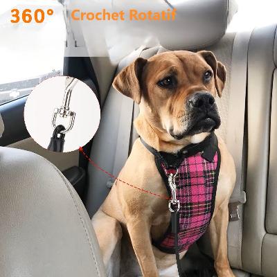 Longe pour chien | Ceinture de Sécurité pour Véhicule - PuppyDog Zone