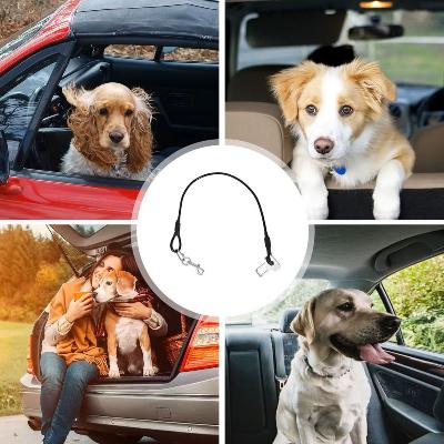 Longe pour chien | Ceinture de Sécurité pour Véhicule - PuppyDog Zone