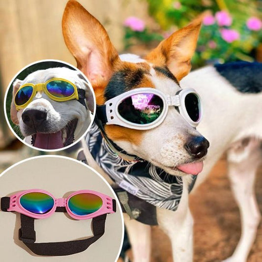 Lunette pour chien | GoggleDogâą - PuppyDog Zone