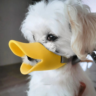 museliere chien bec de canard jaune ajustable
