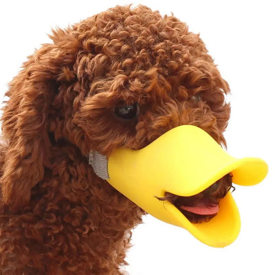 museliere chien bec de canard petite taille