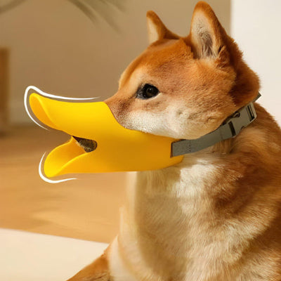 museliere chien bec de canard silicone