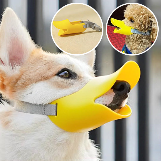 museliere chien forme bec canard jaune