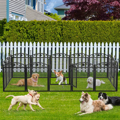 parc pour chien solution socialisation autres chiens