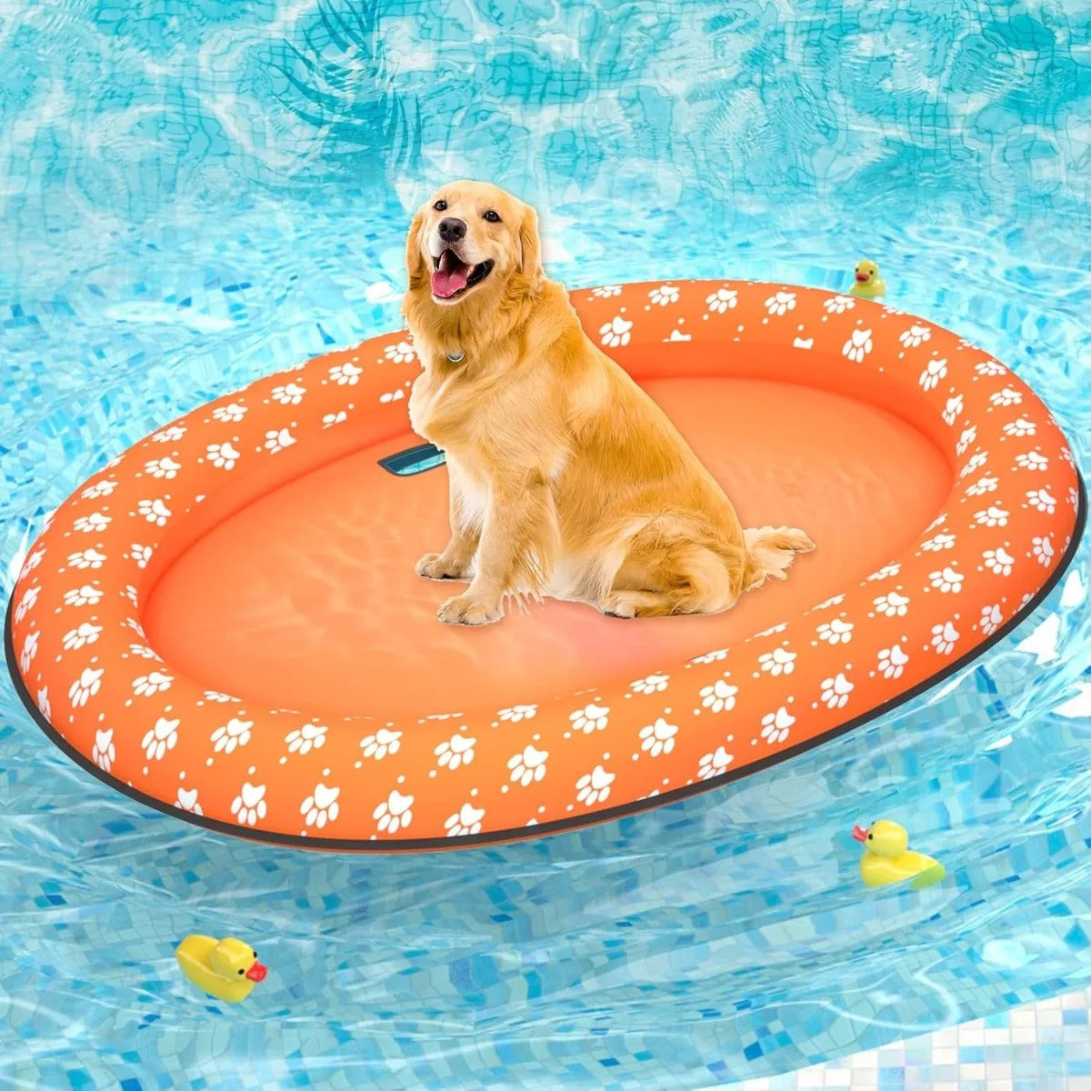 piscine pour chien flottante jeux amusant