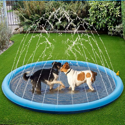 piscine pour chien tapis arroseur avec deux chiens sous fontaine eau