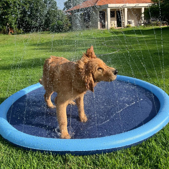 piscine pour chien tapis arroseur-couleur bleu