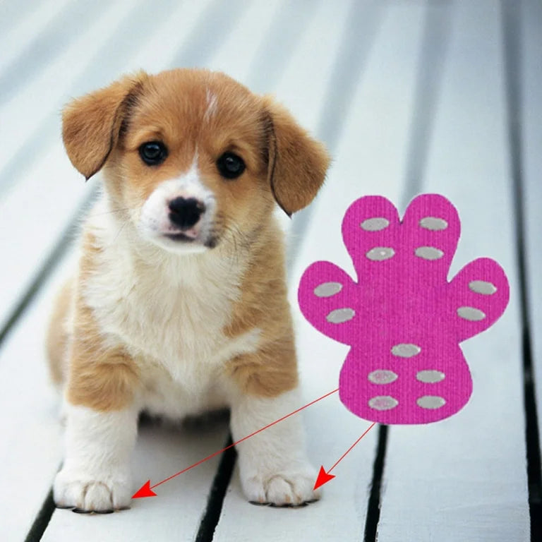 chiot-avec-protege-coussinet-couleur-rose-antiderapant