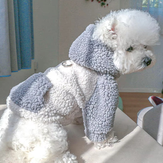 petit-chien-blanc-assis-avec-un-manteau-en -peluche-blanc-et-gris